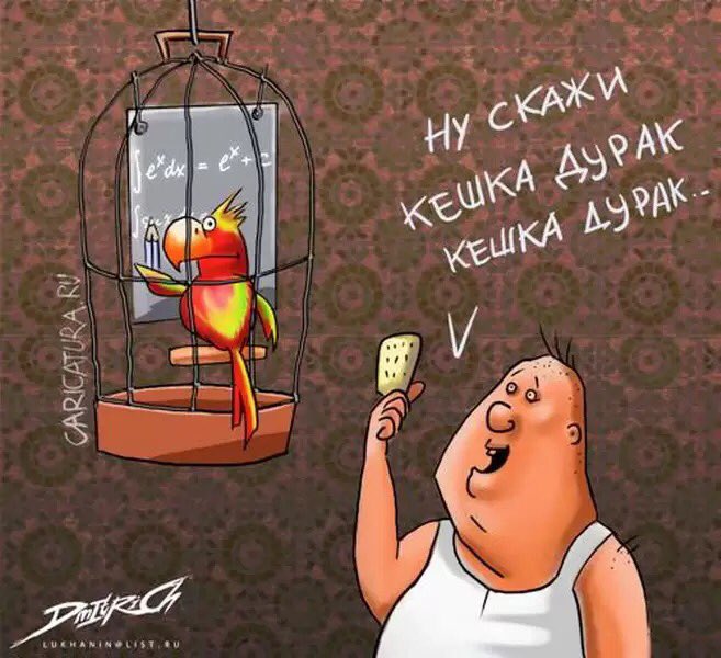 Юмор про, смешные картинки с дураками