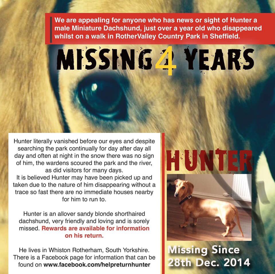 MolliePug's tweet photo. STILL MISSING😞Male Dachshund Hunter From South Yorkshire Missing since 28/12/14😞😞Facebook Page-Help Find Hunter❤️#HelpfindHunter @gelert01 @hollywills @GetDanaHome @colliealert @BlueFrenchie1 @Eloquencealways @thedogfinder @RachaelB100 @SummerBreezeUS @suedaycam @BrendaBlethyn https://t.co/TmSDc3XDYx