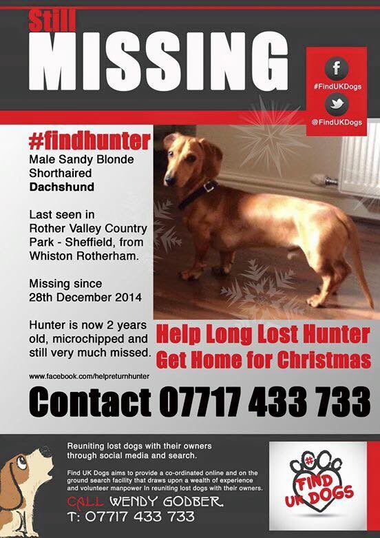 MolliePug's tweet photo. STILL MISSING😞Male Dachshund Hunter From South Yorkshire Missing since 28/12/14😞😞Facebook Page-Help Find Hunter❤️#HelpfindHunter @gelert01 @hollywills @GetDanaHome @colliealert @BlueFrenchie1 @Eloquencealways @thedogfinder @RachaelB100 @SummerBreezeUS @suedaycam @BrendaBlethyn https://t.co/TmSDc3XDYx