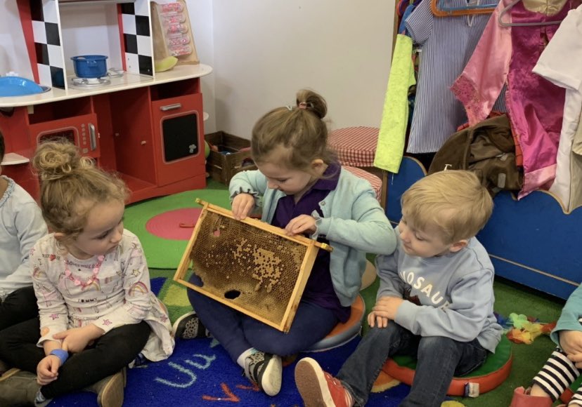 BusyBeesLedbury's tweet photo. We were kindly lent a bee hive by a member of @LedAllotment for the children to look at. They handled the frames &amp; observed the cells. We learned the names of the different bees that live in the hive &amp; looked at a selection of honeycomb. The Ledbury honey was tasty too! https://t.co/AXHLO76SYq