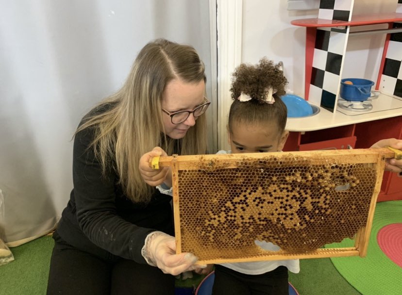We were kindly lent a bee hive by a member of <a href="/LedAllotment/">Ledbury Allotment</a> for the children to look at. They handled the frames &amp; observed the cells. We learned the names of the different bees that live in the hive &amp; looked at a selection of honeycomb. The Ledbury honey was tasty too!