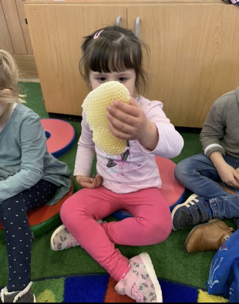 BusyBeesLedbury's tweet photo. We were kindly lent a bee hive by a member of @LedAllotment for the children to look at. They handled the frames &amp; observed the cells. We learned the names of the different bees that live in the hive &amp; looked at a selection of honeycomb. The Ledbury honey was tasty too! https://t.co/AXHLO76SYq