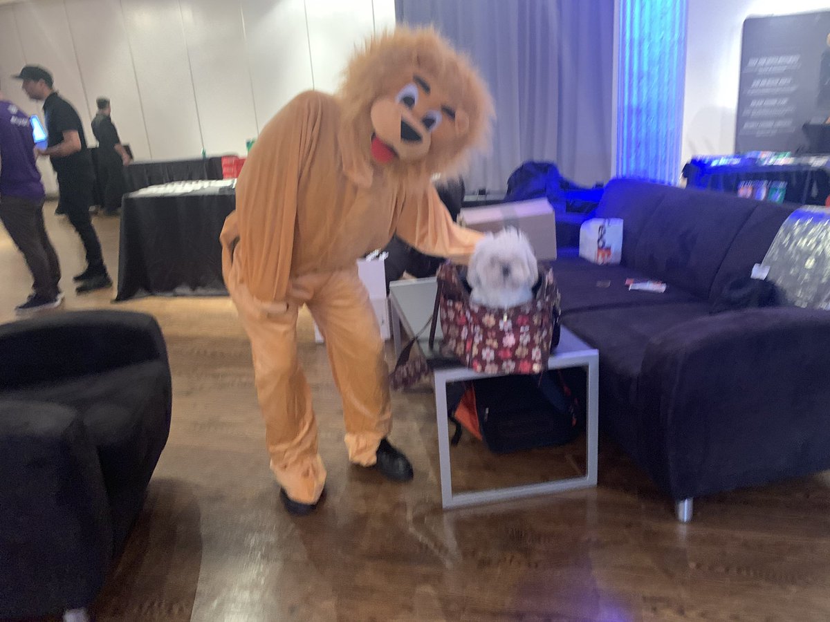 LarryChiang's tweet photo. Brady is friends with Oski the Bear also @CalBaseball - I am the solo founder of #CalEWeek. #mcc2019 is 🐼🐥🐳
And these two https://t.co/4LqDzBIWZX