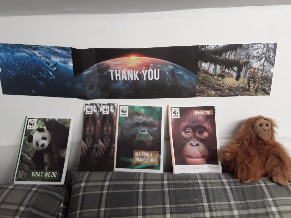 Jmpennington91's tweet photo. @vernonpark17 @Vernon34Ks2 after lewis spent last week and the week before learning about animals in the rainforest he felt the need to do something to help them! So he made a whatsapp group and put all of our family in it and asked us all to sign up to WWF. https://t.co/zwcWN75ud7