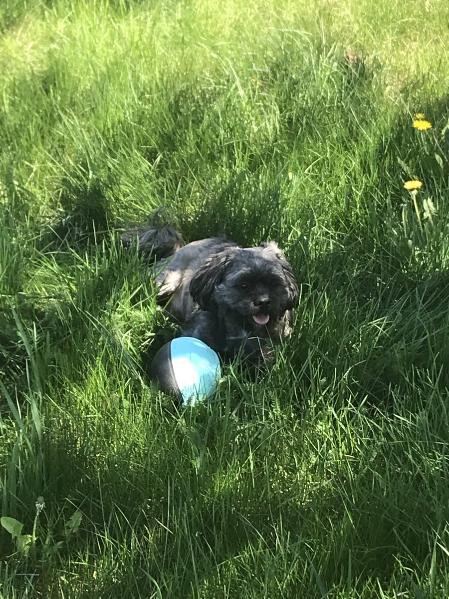 spacyhere's tweet image. #TickTime!