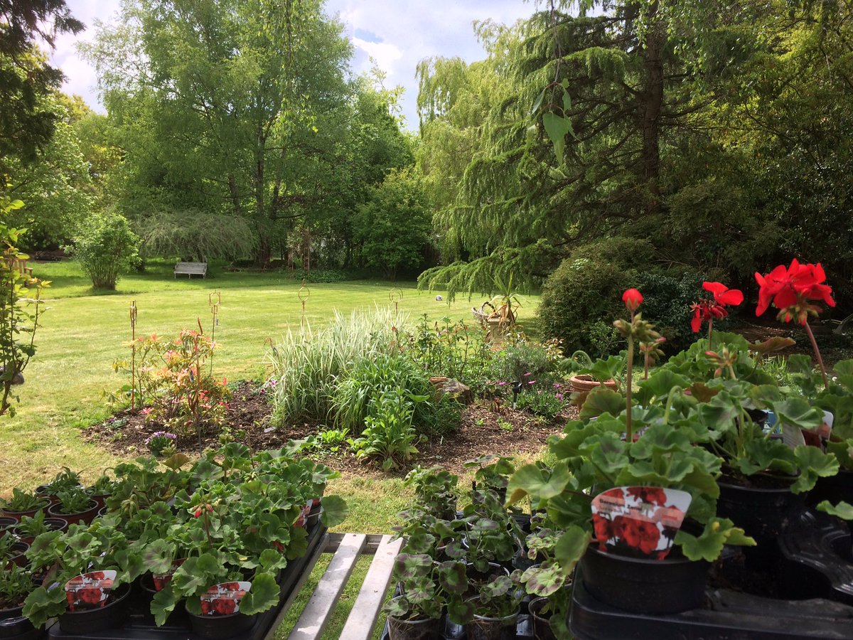 So proud of the wonderful gardens today and feeling incredibly privileged. Gardens open for the day this Sunday 12th May. <a href="/pickhams/">Pickhams</a> #opengardens #sussex