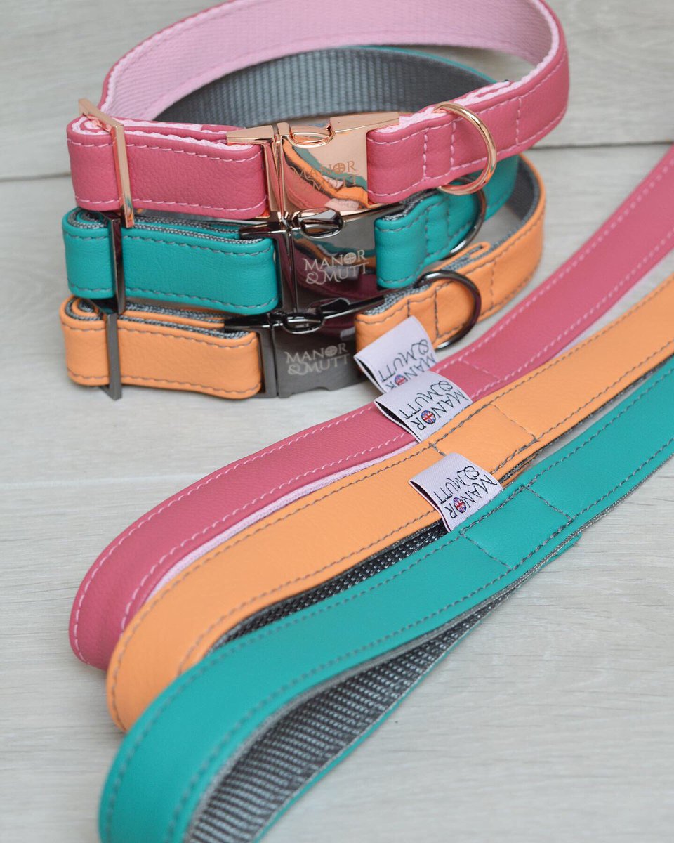 manor_mutt's tweet photo. Soo many pretty colours in our faux leather collection! Which ones your favourite? 
#dogcollars #dogleads #dogdayout #dogfriendly https://t.co/AuQUD8XMOj