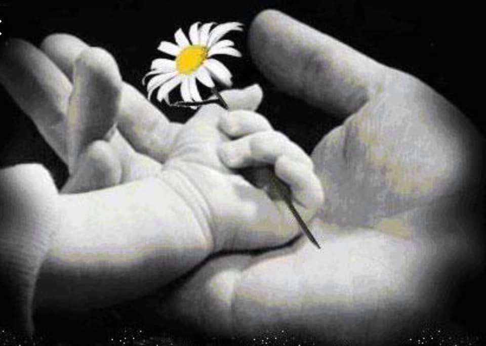 Yarın ''Anneler Günü''❤️usulca kutlayalim anneler gününü.
Öksüzlerin canını acıtmadan, yavrusunu kaybetmiş annelerin yarasına tuz basmadan.Annesin den ayri büyüyen cocuklarida düşünerek Evladindan ayri yaşlanan anneleride düşünerek...
Anneler günümüz gününüz kutlu olsun