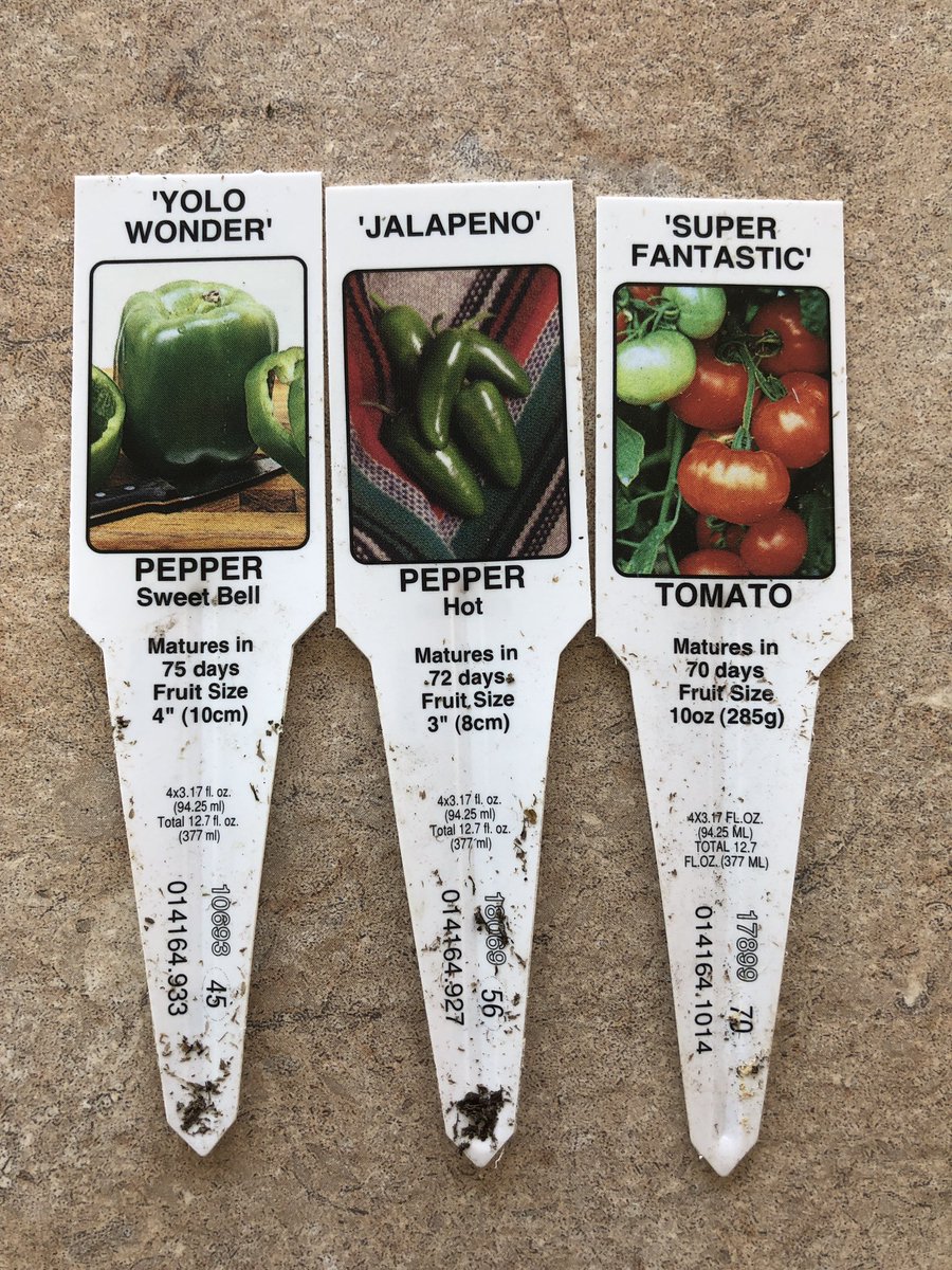 Our part time farmer lifestyle in eastern WA allows us to enjoy homegrown salad, salsa &amp; Syrah #livemagentachallenge2019 #Day11 #WestIsBest #PNWinning #hehadmeatimakewine