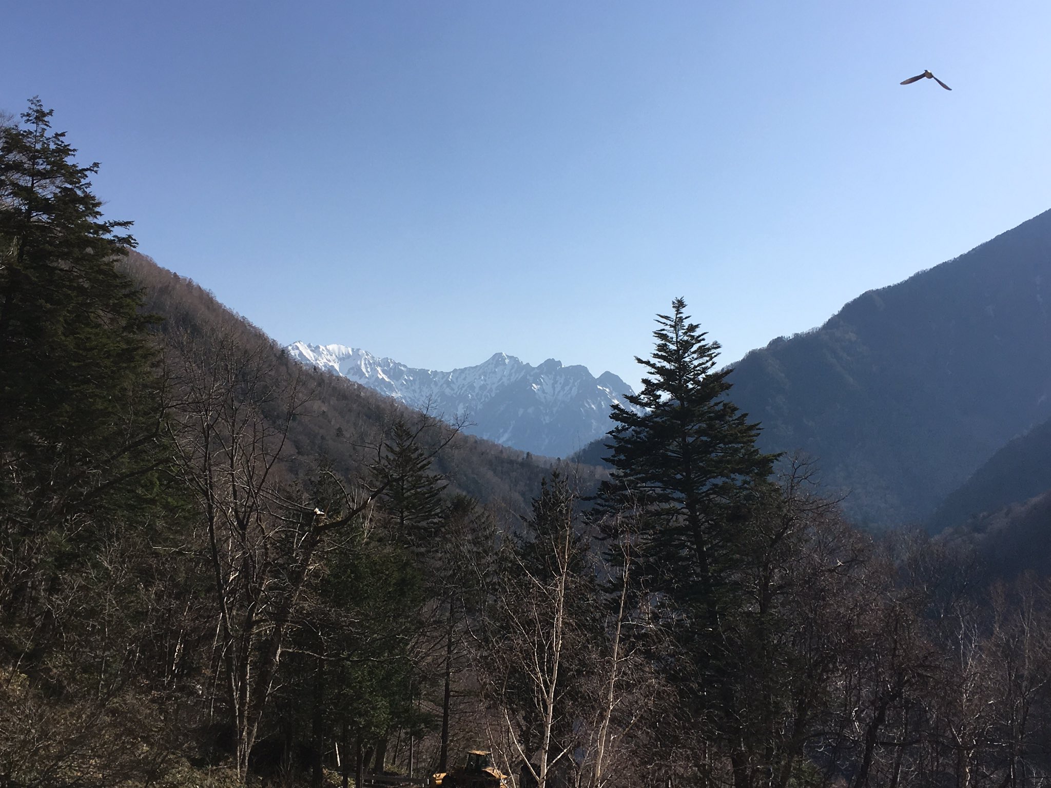 中の湯温泉旅館 Nakanoyu Onsen Twitter