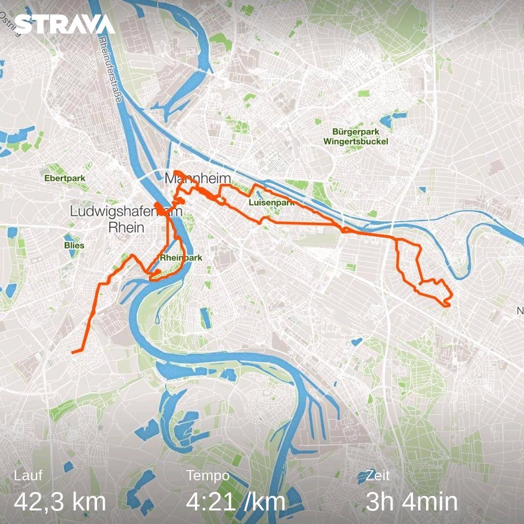 SoerenDeger's tweet photo. Fastest Marathon ever :-) #srhdämmermarathon #mannheimmarathon #wirlaufen  https://t.co/OEkIiMmnsN https://t.co/uILEZzaJEZ