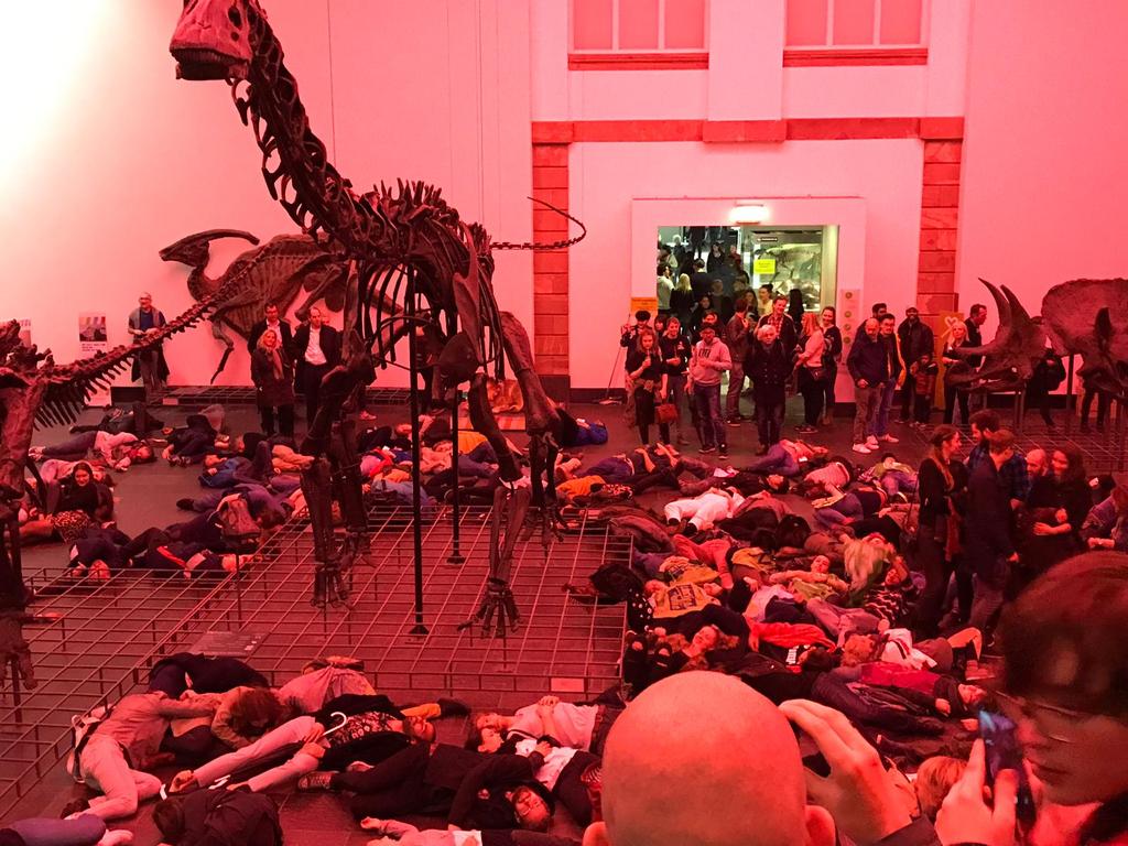 JuliaKrohmer's tweet photo. Und nochmal von oben!
#DieIn #ExtinctionRebellion @Senckenberg bei der #ndmffm (Bild von W. Warnecke) https://t.co/IRpy6mYf8t
