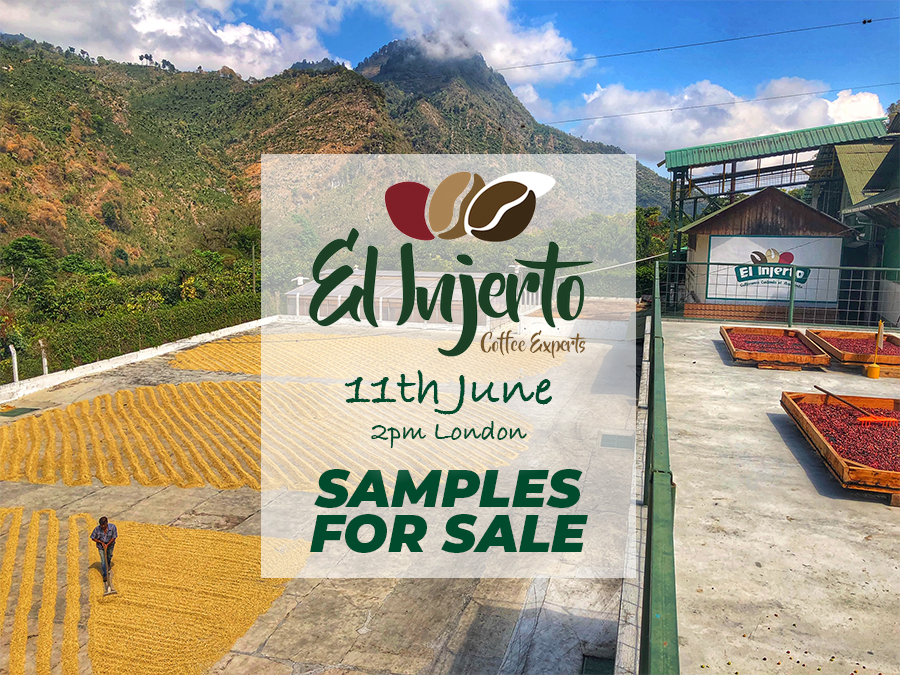 sensiblecoffee's tweet photo. SAMPLE PACKS AVAILABLE! 

There is still sample packs available for the El Injerto Auction 2019 and you do not want to miss out these. go to https://t.co/yg21HUcxrX or follow the link in our bio! #coffee #SpecialtyCoffee #SpecialityCoffee #CoffeeRoaster #CoffeeRoasters https://t.co/PZb9twlFCq