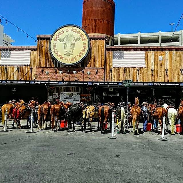 LasVegasLocally's tweet image. Still a cowboy town. 🐴 #Helldorado