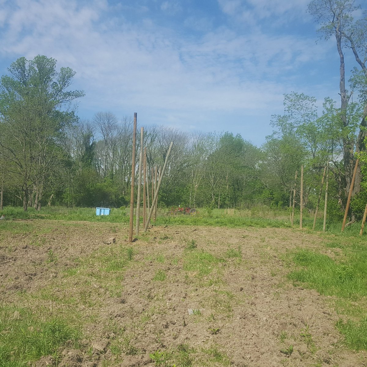 fieldofhops's tweet photo. Starting to look better. https://t.co/tWibSO54mA