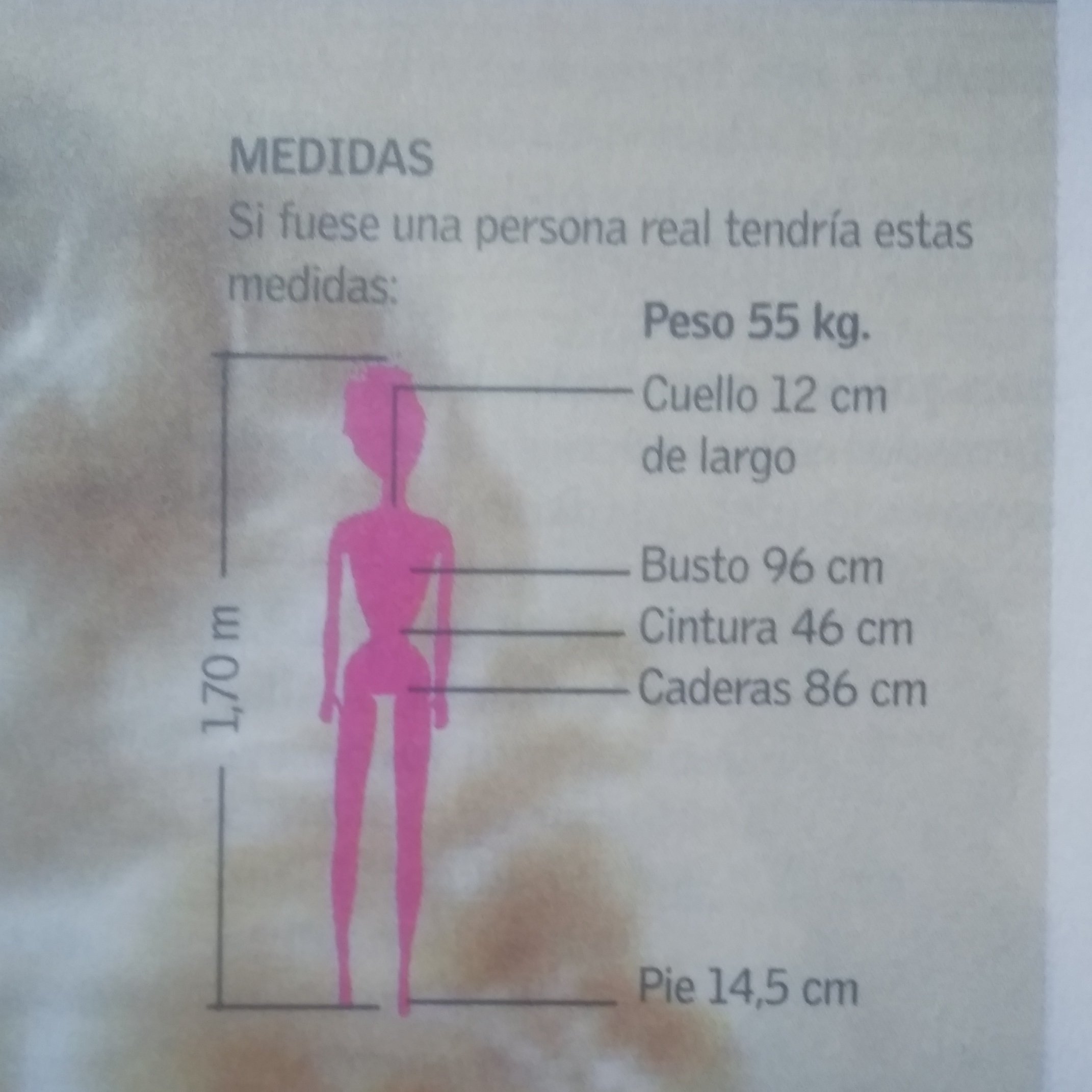 Medidas de barbie sale