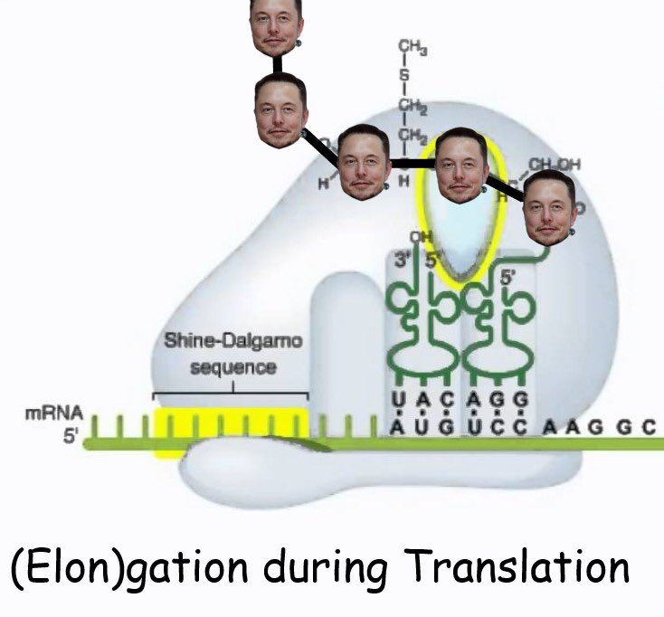 jtrese3's tweet photo. Here’s a genetics meme to celebrate the end of finals week.... https://t.co/IBmsC6pscN