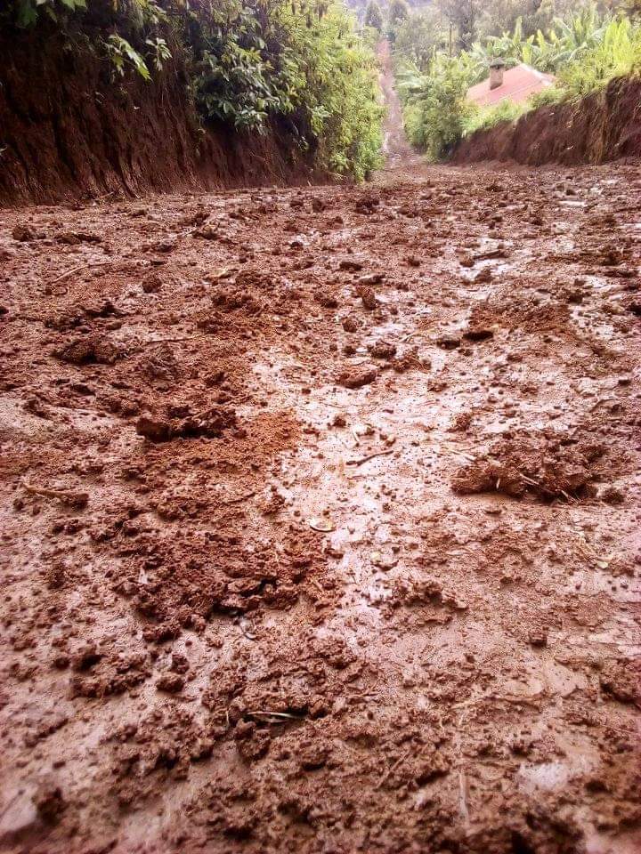 Murarandia ward, kiharu constituency, murang'a county we made a mistake by electing some leaders whose their work is not to serve the people but to fulfil their interest........ Let's not try this again..