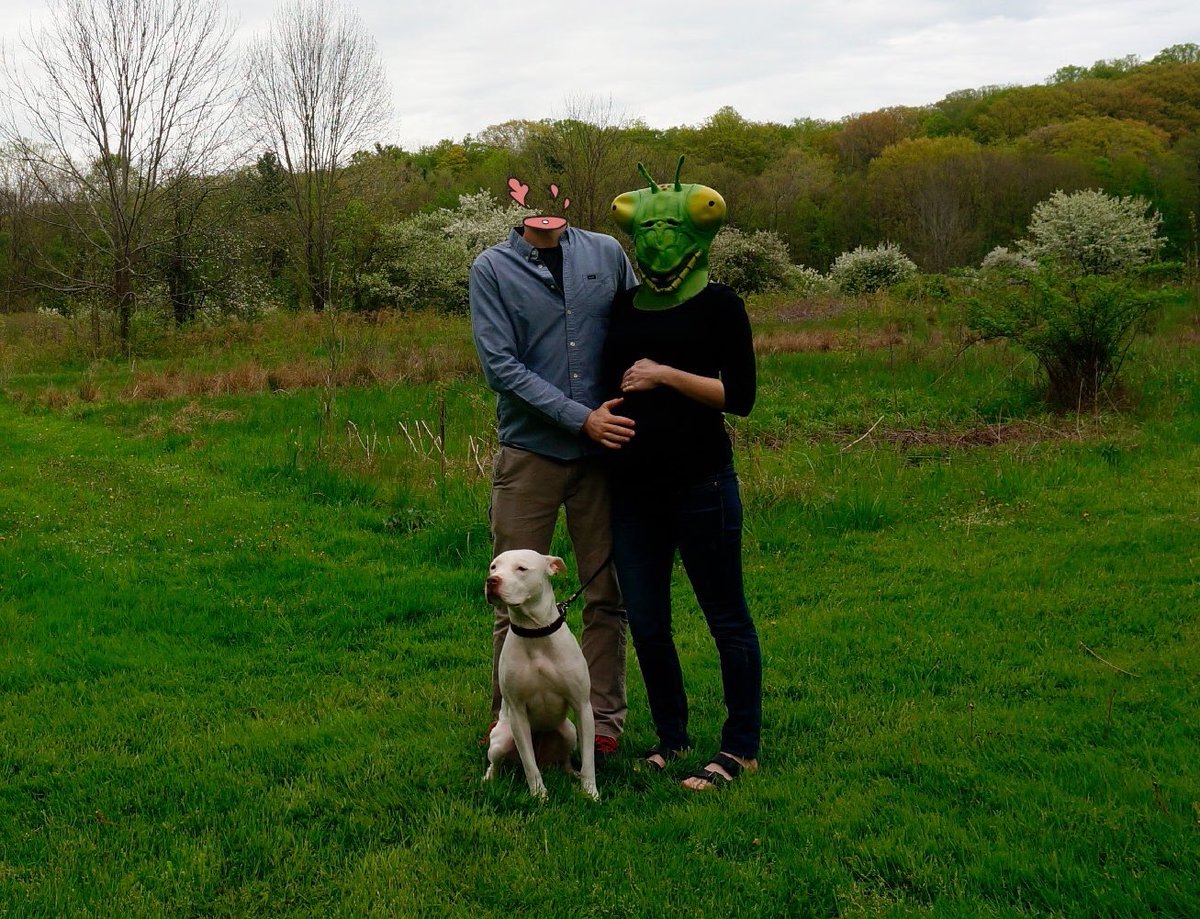 skbrannoch's tweet photo. .@Phlaeopterus and I have exciting news: we're gravid! Our little nymph will be emerging this August! https://t.co/3JCGrVJi5n