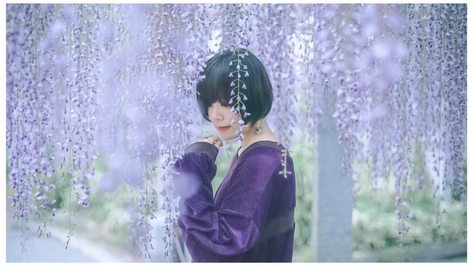 藤のベール 