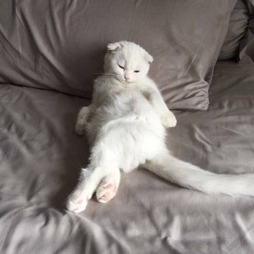 ลุงอาร์ม tweet media
