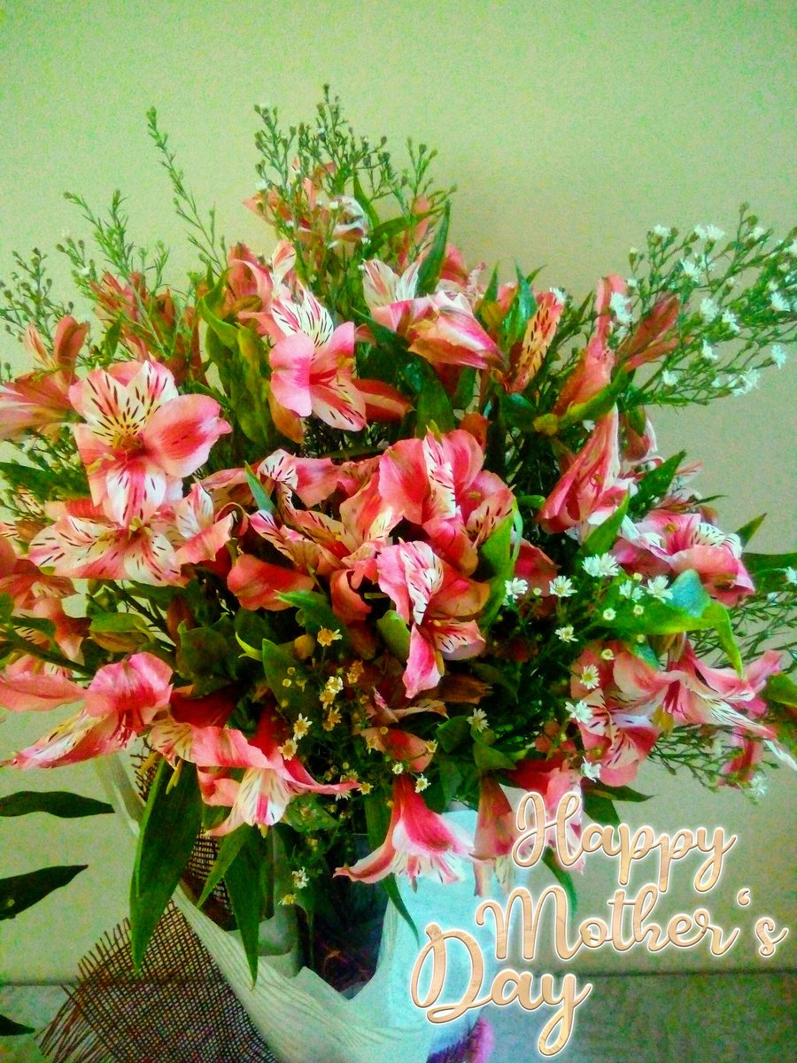 <a href="/zenkmm/">🌼ƵȇƞⓉⒾⒺⓂ︎ⓄⓈ</a> <a href="/xinempl/">ᜃ᜔ᜇᜒᜐ᜔ᜆᜒᜈ᜔</a> <a href="/ellina_gen/">Ellina Gen ˢᵉⁿᵗᶦ²⁰¹⁶</a> <a href="/timmygano/">Timzkieˢᵉⁿᵗⁱᴱ²⁰¹⁶</a> <a href="/Buenomely27/">Mely Bueno devera</a> <a href="/mhellopez19/">Mʜᴇʟ Lᴏᴘᴇᴢ ₛₑₙₜᵢₑ₂₀₁₆</a> <a href="/betchieflores/">Senti🐒EmosBZ07</a> @aizzgiant <a href="/twilightbliss94/">💙BuNsO IsABeLLA NiLa Poˢᵉⁿᵗᶦ²⁰¹⁶💙</a> <a href="/bean_stalker888/">JohnJerry</a> <a href="/cpjayloni/">Simply CEZ</a> <a href="/grabesila/">🌺💃DiwatangGala ᴬᴰᴺ 💃🌺</a> Happy Mothers Day po sa lahat ng ina at sa inyong mga ina💐😘😘😘
#ADNHappyMothersDay 
#ALDUBxADNCelebrateMoms
<a href="/zenkmm/">🌼ƵȇƞⓉⒾⒺⓂ︎ⓄⓈ</a>
<a href="/mhellopez19/">Mʜᴇʟ Lᴏᴘᴇᴢ ₛₑₙₜᵢₑ₂₀₁₆</a>
@aizzgiant
<a href="/twilightbliss94/">💙BuNsO IsABeLLA NiLa Poˢᵉⁿᵗᶦ²⁰¹⁶💙</a>
<a href="/ellina_gen/">Ellina Gen ˢᵉⁿᵗᶦ²⁰¹⁶</a>
<a href="/xinempl/">ᜃ᜔ᜇᜒᜐ᜔ᜆᜒᜈ᜔</a>
<a href="/timmygano/">Timzkieˢᵉⁿᵗⁱᴱ²⁰¹⁶</a>
<a href="/bean_stalker888/">JohnJerry</a>
<a href="/fejosede2/">fejosede2</a>
<a href="/yaylips/">Lizel</a>
<a href="/betchieflores/">Senti🐒EmosBZ07</a>
<a href="/Buenomely27/">Mely Bueno devera</a>
<a href="/jing9wabz/">🌷JHING❤ 🌺💋</a>
<a href="/hotxander01/">-xanrel™</a>