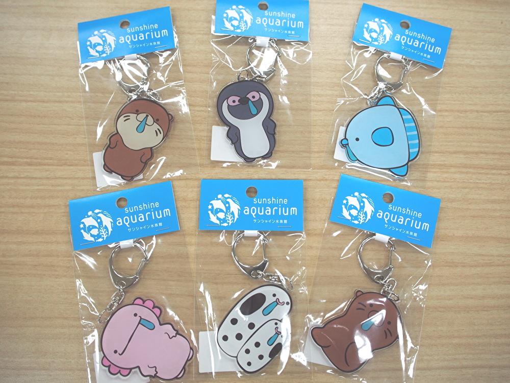 サンシャイン水族館 on X: 