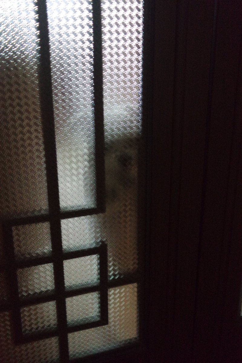 kankayaya's tweet photo. 있자나 누나는 ��� 자고 싶어... https://t.co/s1EWlgbspv
