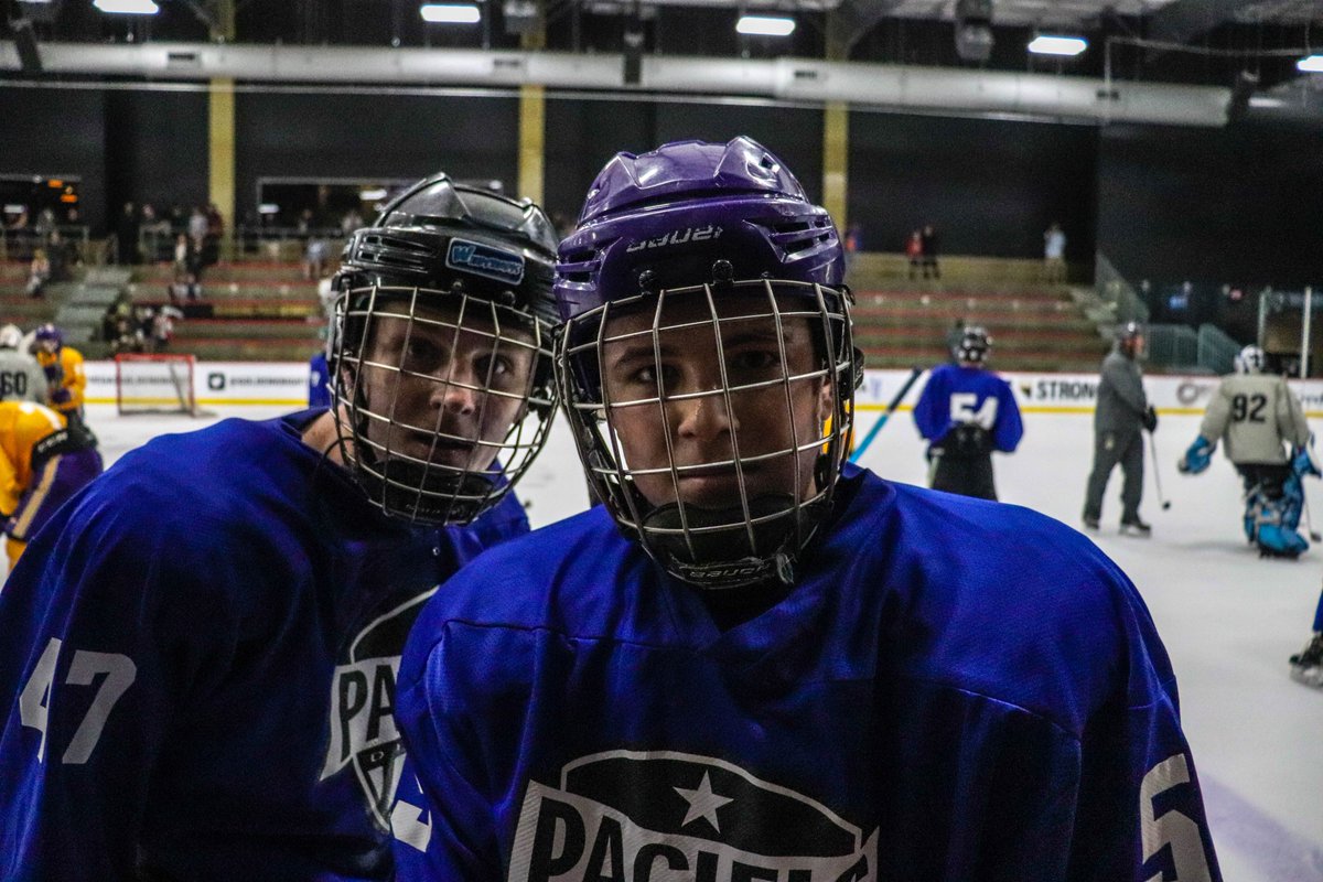 "A pair of wild hockey players in their natural habitat approach the camera with curiosity..." - David Attenborough, probably

#PacificPDC