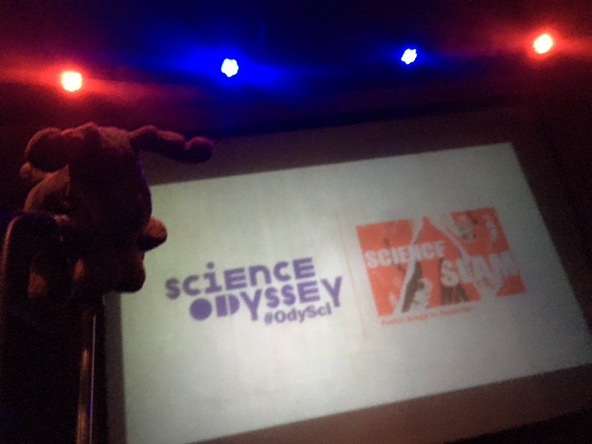 Plush moose on stage dangling on a speaker