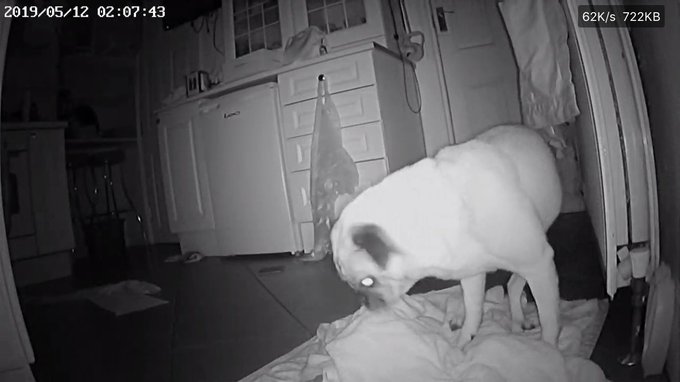 Doing a vip watching my poorly puppet behind his head and https://t.co/aVel2Os0Md<a href="/tag/murdaughmuders"class="tags"><span>#murdaughmuders</span></a>