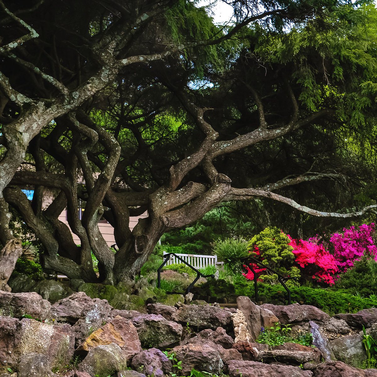 Nature is life 💖

#landscape #landscapephotography #nature #natureshots #naturephotography #naturelover #tree #trees #treeoflife #flowers #flowerstagram #northjerseyadventures #southjerseyadventures #njinbloom #njspots