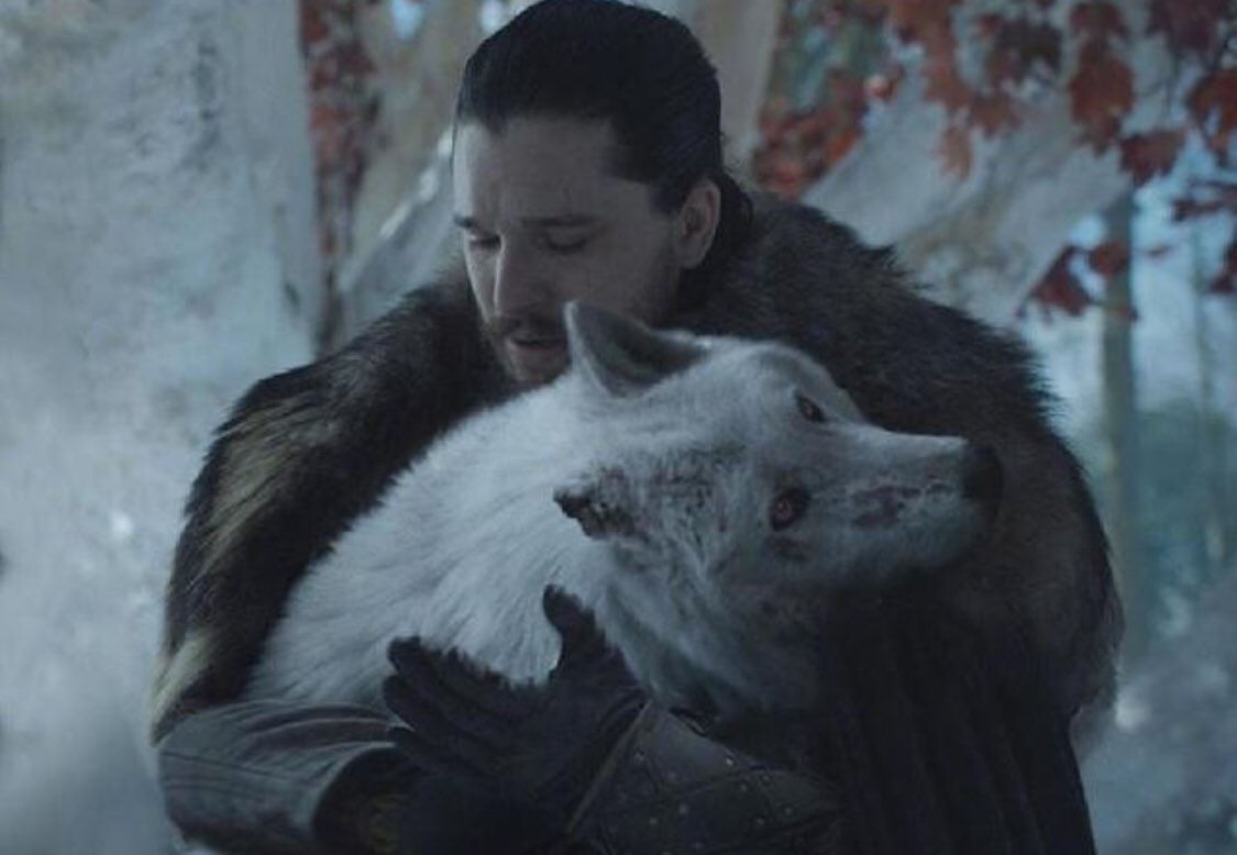 m_hayatx's tweet photo. HBO: we didn’t have the budget to show a proper jon / ghost interaction

people on reddit with their 30 day free trial on adobe photoshop: https://t.co/0fSAnqYZZH