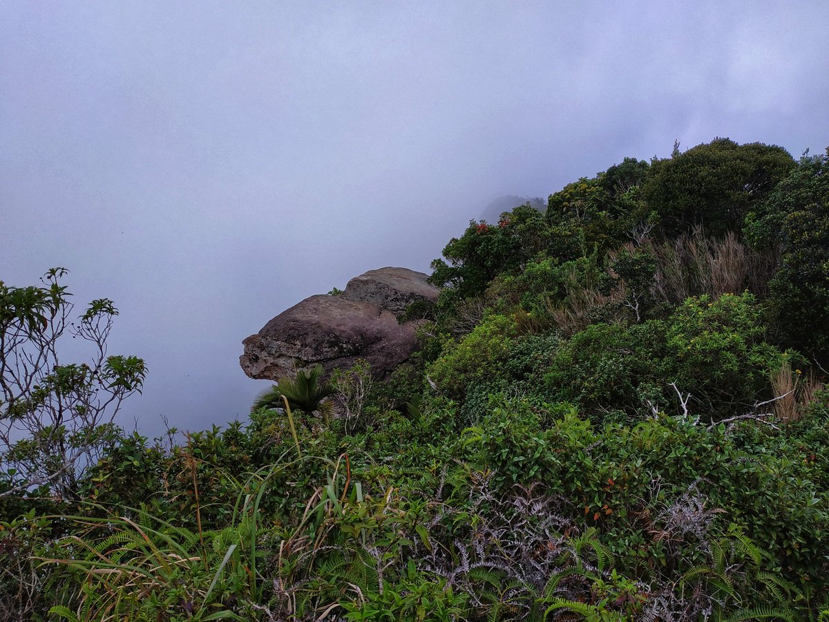 jvlmadhushan's tweet photo. #gongala #Deniyaya #SriLanka🇱🇰
#mobilephotography #mobileclick📷 #Redmi_Note_5 https://t.co/wNCuSvJsUv