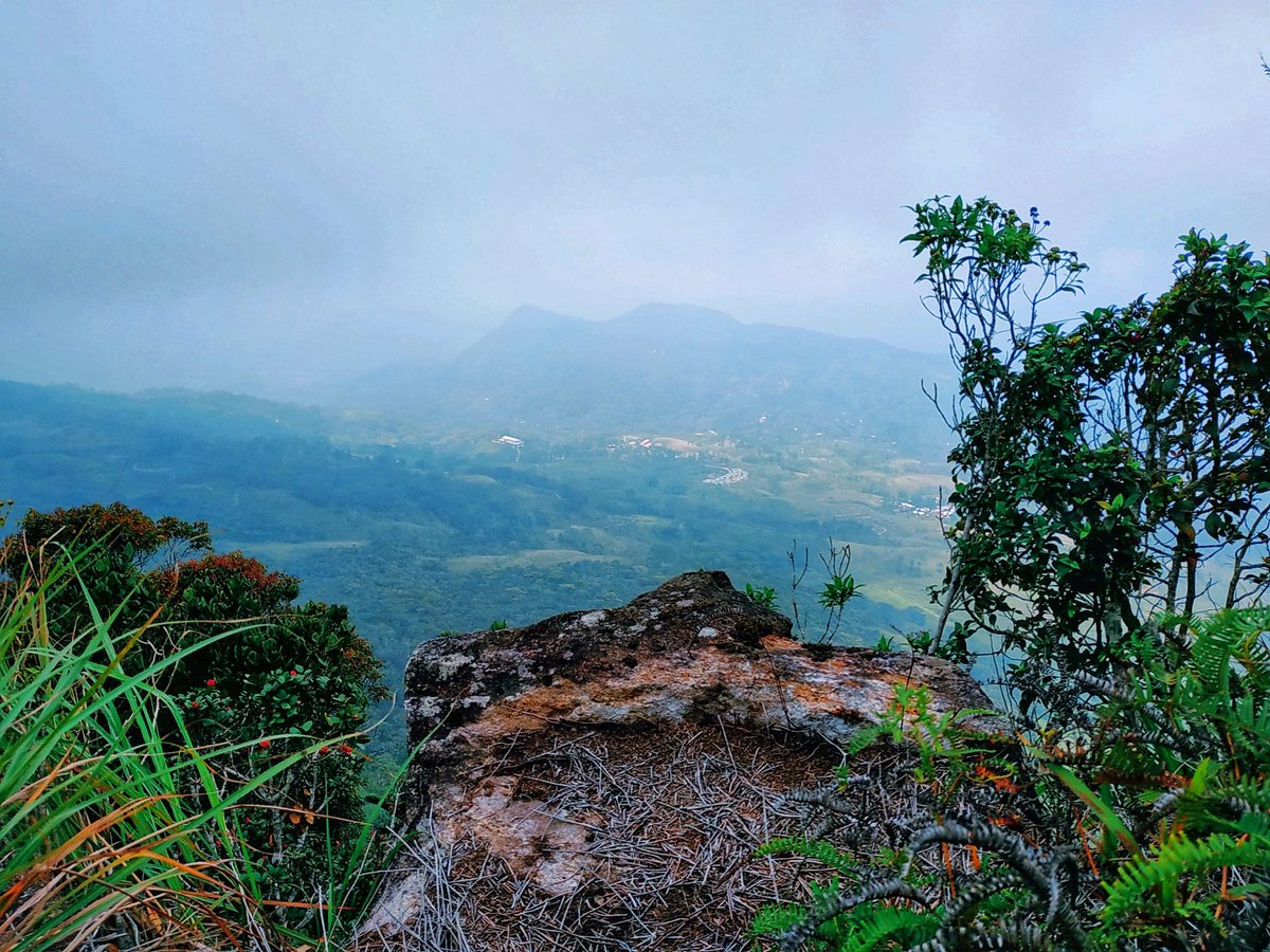 jvlmadhushan's tweet photo. #gongala #Deniyaya #SriLanka🇱🇰
#mobilephotography #mobileclick📷 #Redmi_Note_5 https://t.co/wNCuSvJsUv