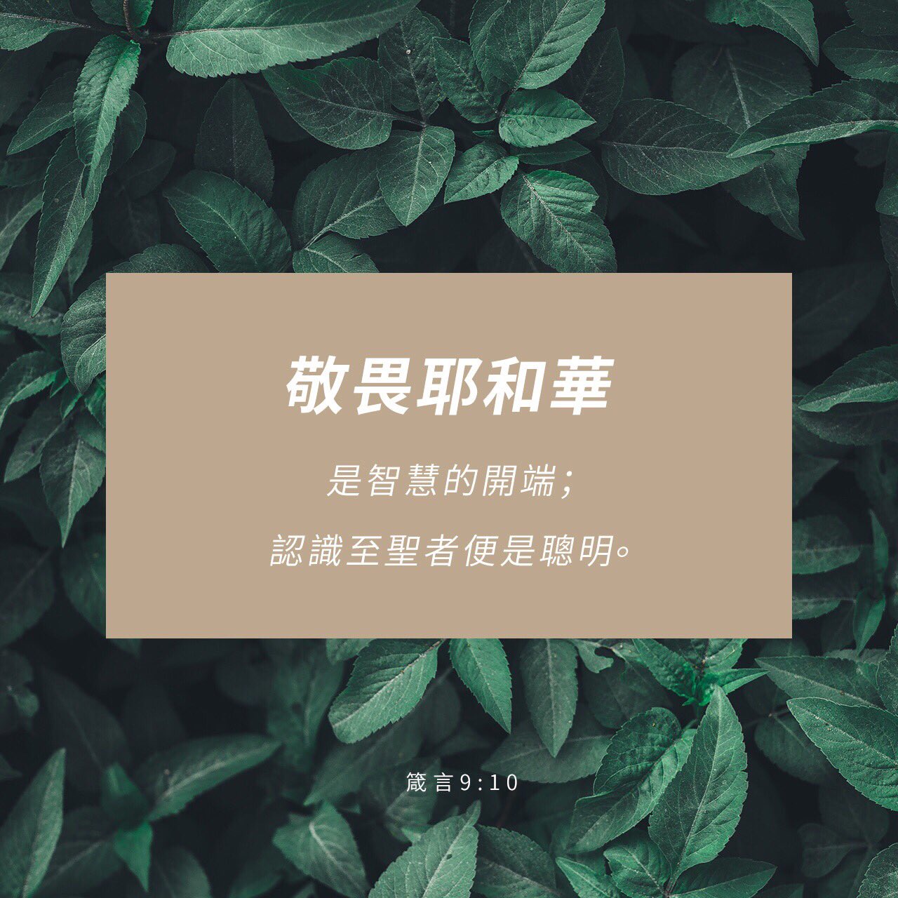 e4bb1183e643c4cc9b7781c088e6b0