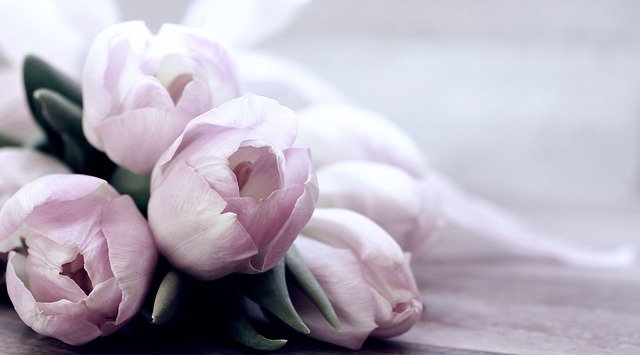 ColisExpat's tweet photo. #Bonnefête à toutes les mamans célébrées aujourd'hui ! Notamment en Belgique, en Suisse, au Canada et aux Etats-Unis ! 🌹❤️

#HappyMothersDay to all the wonderful moms today! Especially in Belgium, Switzerland, Canada and in the United States! 🌹❤️ https://t.co/ETyQeu2uKd