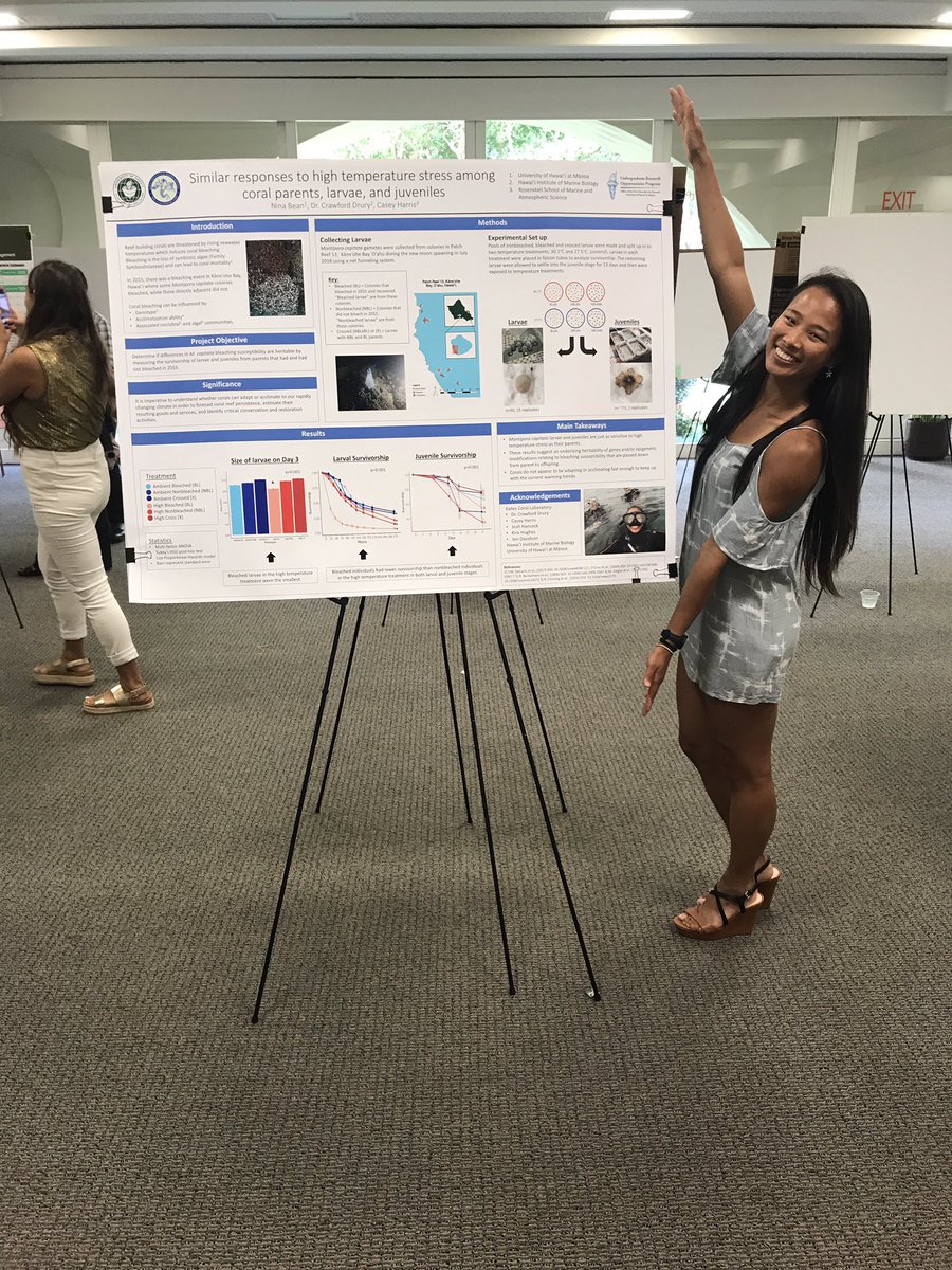 Nina Bean tweet media