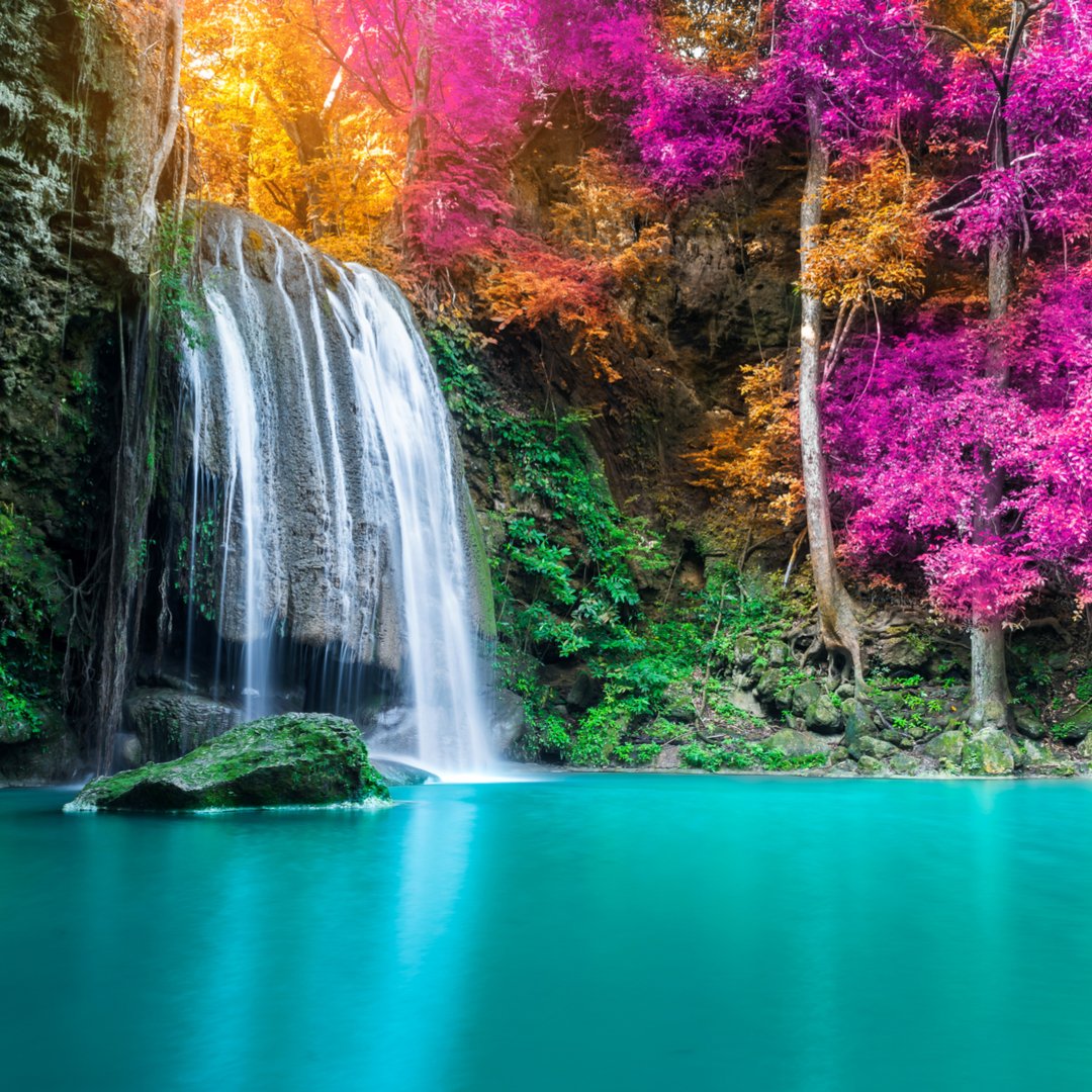 joingopher's tweet image. 📍Thailand bit.ly/2EEkyq4