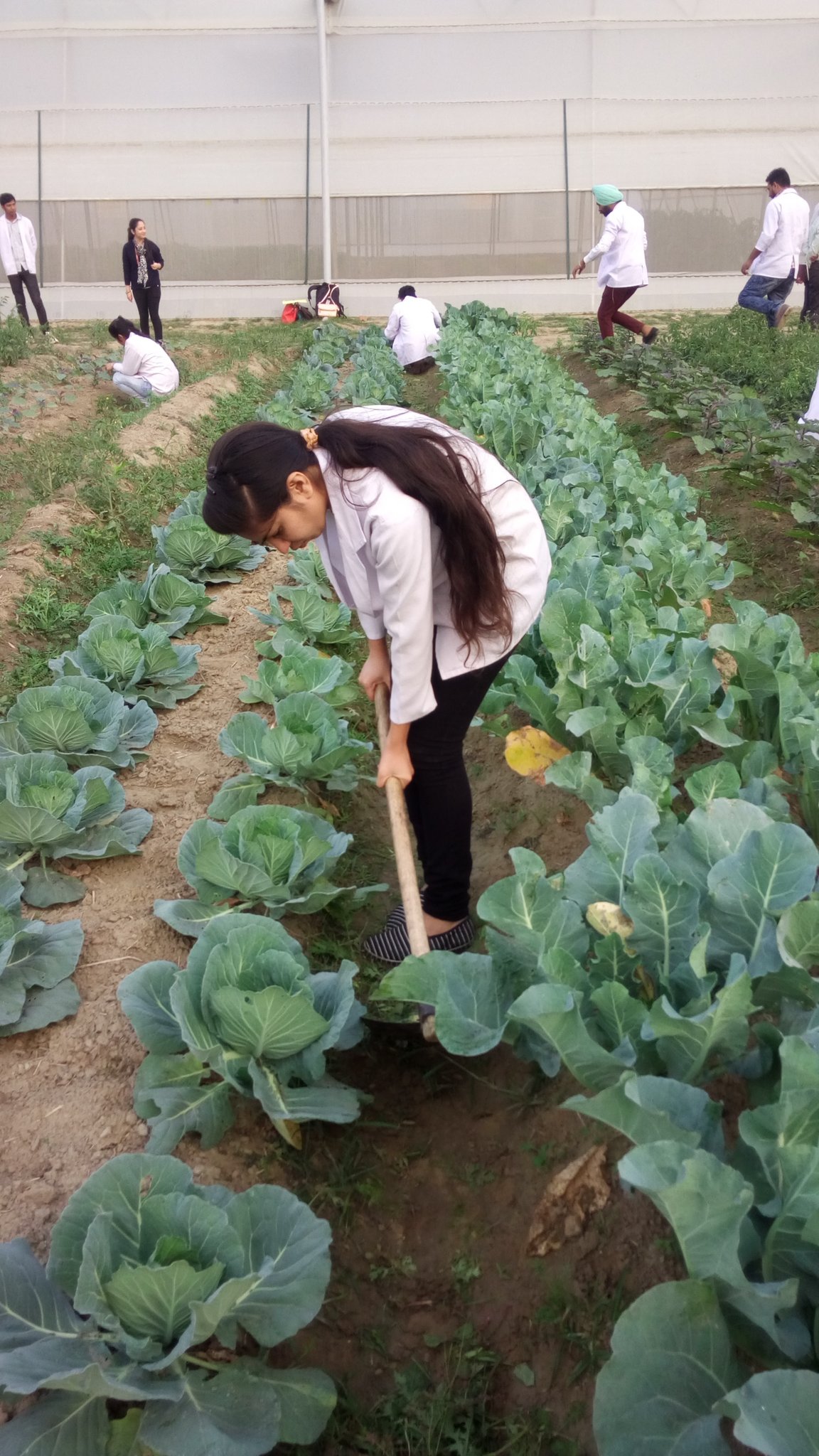 D6VrXb8UwAA4UGb.jpg:large