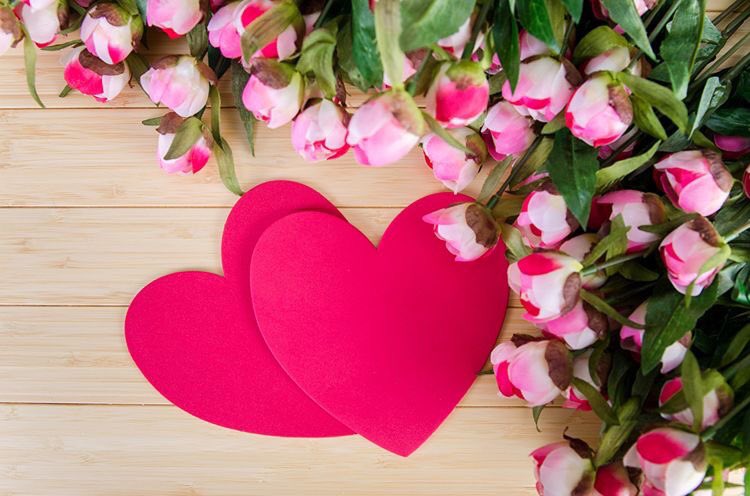 ANNE..❤️
Kelimelerle anlatılamayan 
Fedakarlığın ve karşılıksız 
Sevginin adı..

Adı ANNE olan
Dünyanın en güzel MELEKLERİ
 Anneler Günü nüz kutlu olsun..