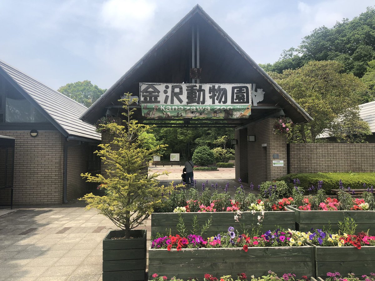 動物園飼育員 動物園飼育員