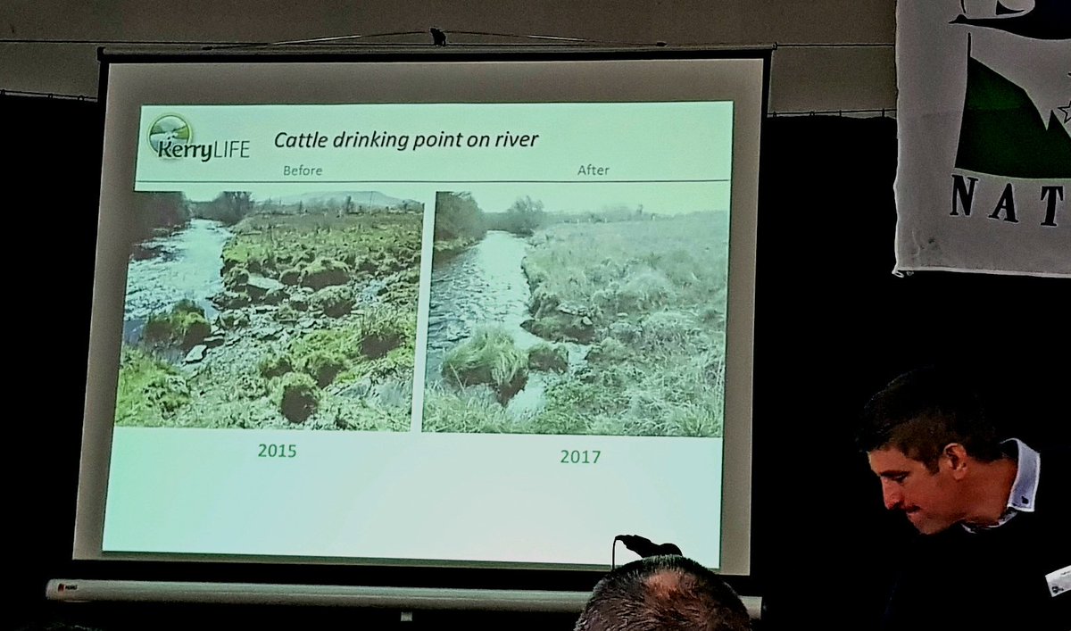 GlengarriffWood's tweet photo. Interesting @kerry_life conference #pearlmussels Pics: trials with log dams, silt fences &amp; reseeding native grasses to reduce impacts of conifer clearfell; vegetation recovery after fencing farm streams; project poster,
Blackwater River: 2.7 million mussels = c300 tonnes biomass! https://t.co/fWq7OW46MP