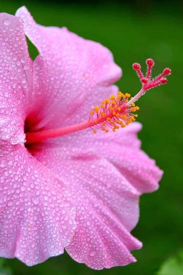 HamidRezaie15's tweet photo. @stradagangelica @ThShaher @VictoriaD6363 @RizzoGigirz58 @nuvisionquestt2 @GFBS17 @Quinnqueens @yelarvel @IsabelPerez1232 @BreakingKind @sasha_stana @jclockyer @CATALIN39137936 @zerok_z @Jilliemary @musfaca @KedmaHelena1 @SarahiAlly @bovb51 @aliciagarciaga6 @TWD913 @lvgab2
@9339Wingmen
@SimplesmenteSyl
@10Ghullam
@khalidaajzi
@mmzzed1
@ThShaher
@SergioA60798547
@CharsWings
@Fer_M66
@CarlonetCarlo
@Ebeny777
@jet_new
@Saori__M
@swydersk
@Emyr1988
@DeJTsolare
@randialso
@mamiRD_
@insaurraldeh
@Mayorga555 https://t.co/lJVUWIQlYm