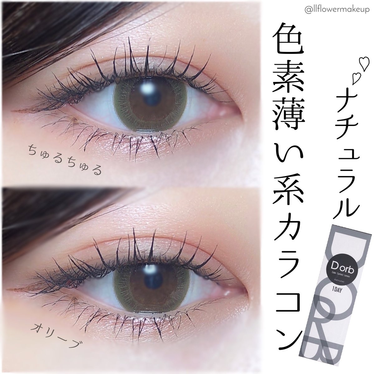 ドロップ 派手 フェロー諸島 黒目 カラコン Bloma Jp