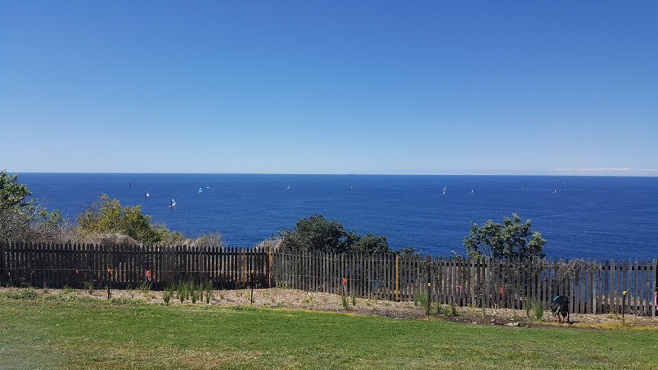 SuburbRun's tweet photo. Happy Mothers Day - Sydney you've got 3 new courses. Dover Heights gets a scatter course starting near to this image. Freshwater gets a score course and South Penrith gets a line course.

Get out for a run!

#suburbrun #running #fitness #doverheights #freshwater #southpenrith https://t.co/vG4HJKkZN3