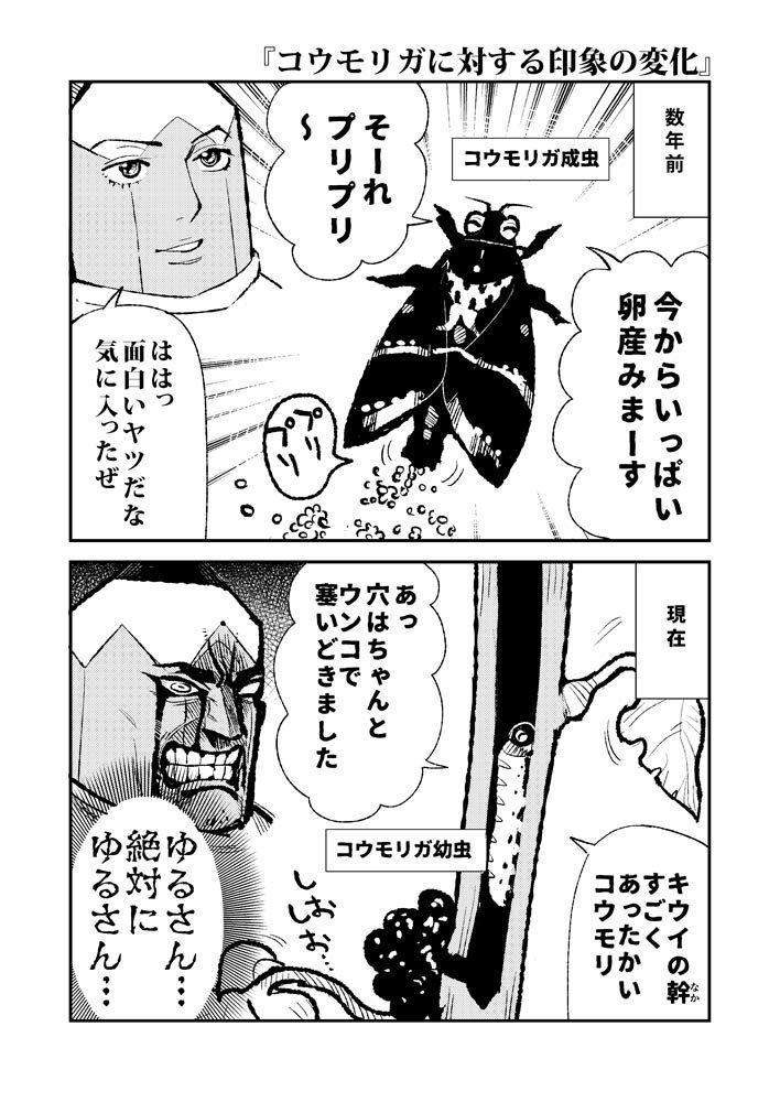 キウイの栽培漫画その２。動画で見た時は可愛いと思ったけど…。 #園芸 