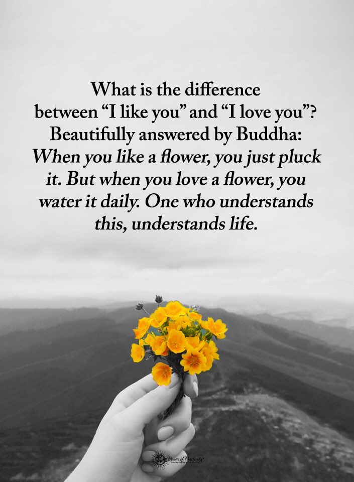 Dhbishara (@dhbishara) on Twitter photo 