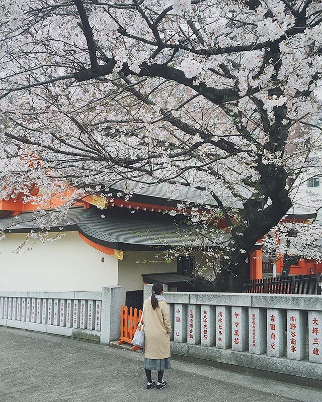 Hanazonojinja Twitter Search Twitter Hanazonojinja Twitter Search Twitter