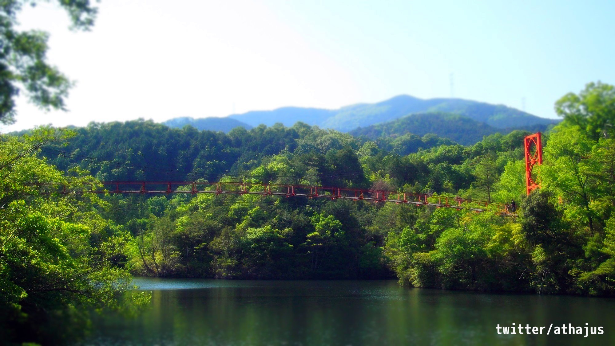 路上観察部 丸尾橋 丸尾池 杉村公園 和歌山県橋本市 T Co 6hksswgt8e 丸尾橋 丸尾池 杉村公園 和歌山県 橋本市 吊り橋 T Co Ovyera7obs Twitter